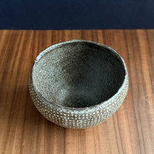 Load image into Gallery viewer, keigo and chiaki sakata fine dot dishes