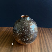 Load image into Gallery viewer, shigaraki ceramic vases