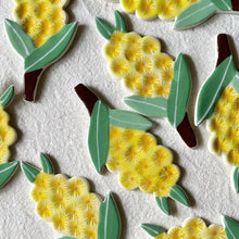 Load image into Gallery viewer, native flowers of Australia - wattle