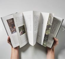 Load image into Gallery viewer, kintsugi book