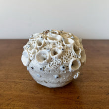 Load image into Gallery viewer, Katherine Wheeler coral bud vase/paperweight grey pearls 3
