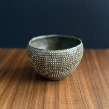 Load image into Gallery viewer, keigo and chiaki sakata fine dot dishes
