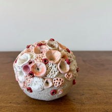 Load image into Gallery viewer, Katherine Wheeler coral bud vase/paperweight pink 1
