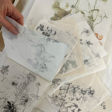 Load image into Gallery viewer, Nasturtiums from Julie’s Garden - A watercolour and ink art workshop with Lesley Kendall
