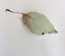 Load image into Gallery viewer, Autumn leaves - A watercolour and ink art workshop with Lesley Kendall
