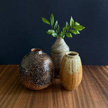 Load image into Gallery viewer, shigaraki ceramic vases
