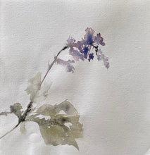 Load image into Gallery viewer, Lesley Kendall - watercolour painting L13
