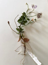 Load image into Gallery viewer, Lesley Kendall - paper garden L28
