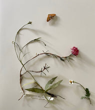 Load image into Gallery viewer, Lesley Kendall - paper garden L33
