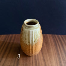 Load image into Gallery viewer, shigaraki ceramic vases
